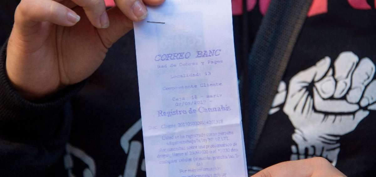 Uruguay aprob&oacute; una ley de Regulaci&oacute;n del Cannabis que habilita tres mecanismos para acceder legalmente a la droga.