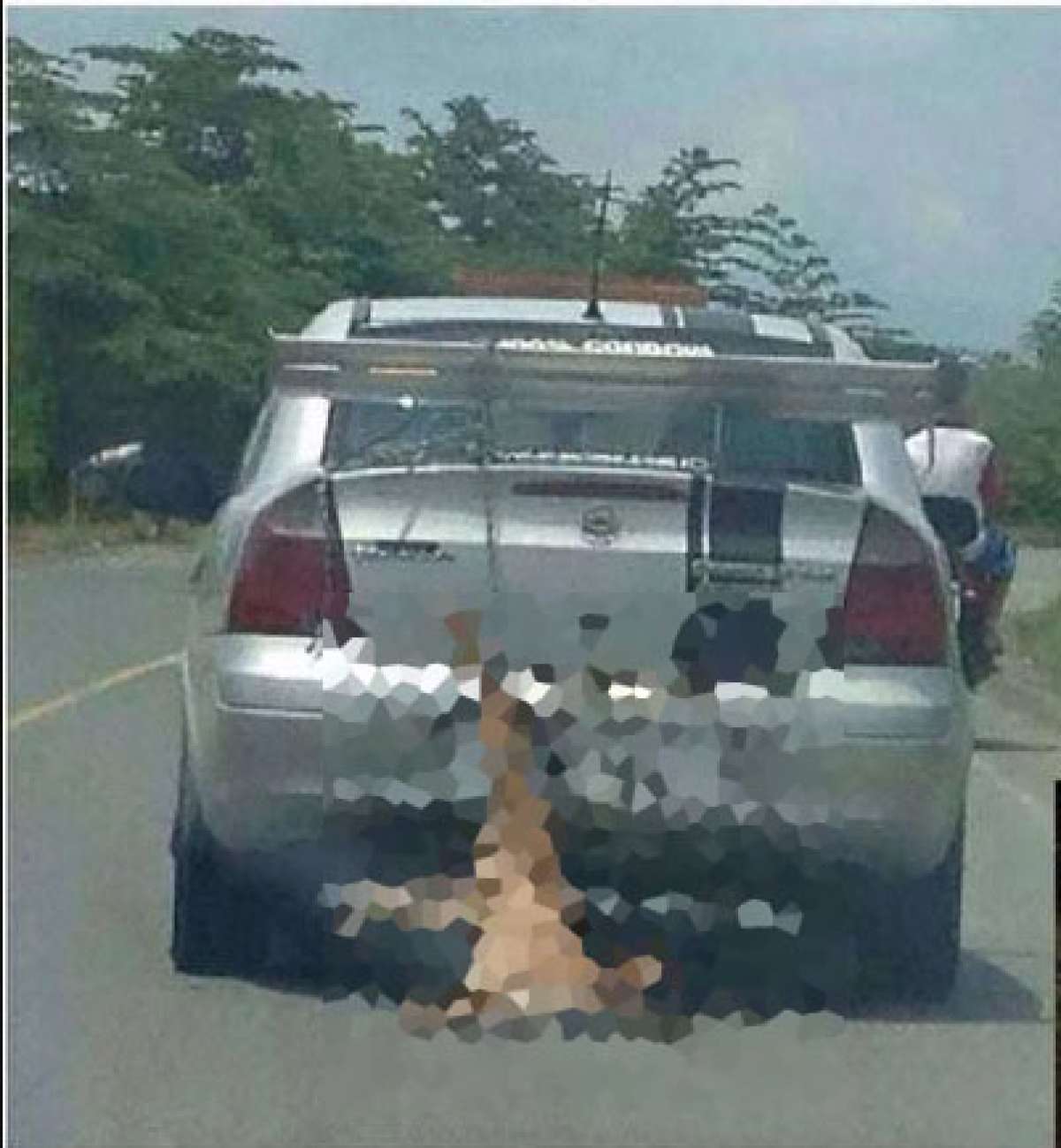 Prefectura del Guayas canalizar&aacute; denuncia sobre maltrato de animal viralizado en redes sociales