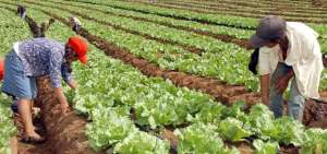 La inseguridad alimentaria acelera las migraciones mundiales
