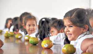 La fruta que ser&aacute; consumida por los menores en etapa escolar de Manab&iacute; proviene de Flavio Alfaro, Chone y Santa Ana. Foto: Cortes&iacute;a