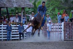 Olmedo mostr&oacute; su identidad montuvia