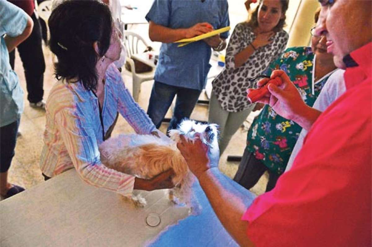 A los animales se les hacen chequeos en los ojos para detectar posibles enfermedades. FOTO: JUAN CARLOS HOLGU&Iacute;N.