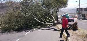 Inamhi advierte r&aacute;fagas de viento fuertes en la sierra