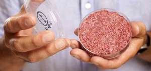 Los cient&iacute;ficos inventan la carne de laboratorio