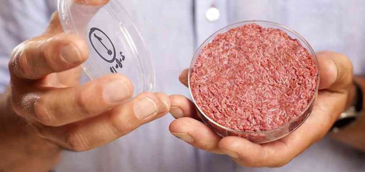 Los cient&iacute;ficos inventan la carne de laboratorio