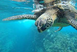 Cilindros de GLP se trasladan hacia las islas Galápagos.