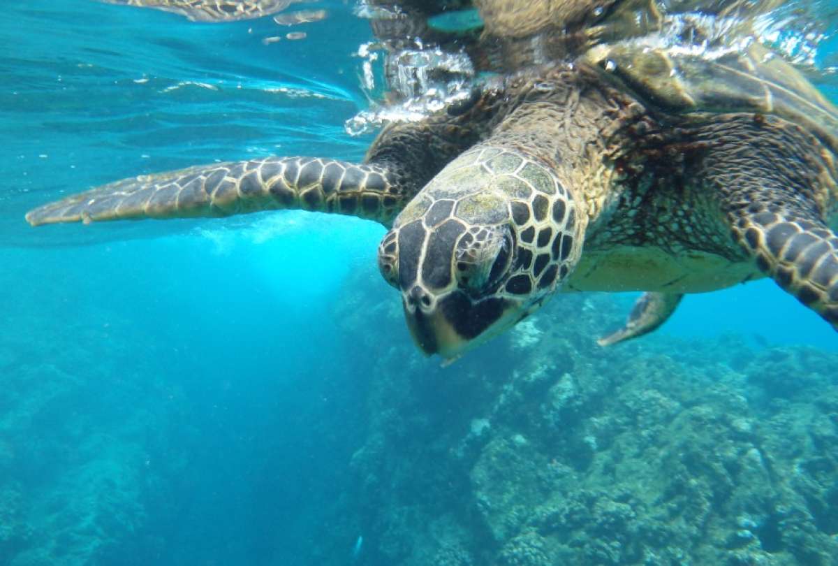 Cilindros de GLP se trasladan hacia las islas Galápagos.