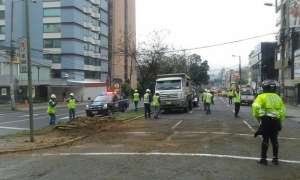Personal de la EPMMOP retir&oacute; los restos del &aacute;rbol que cay&oacute; en la ma&ntilde;ana. Foto: Cortes&iacute;a.