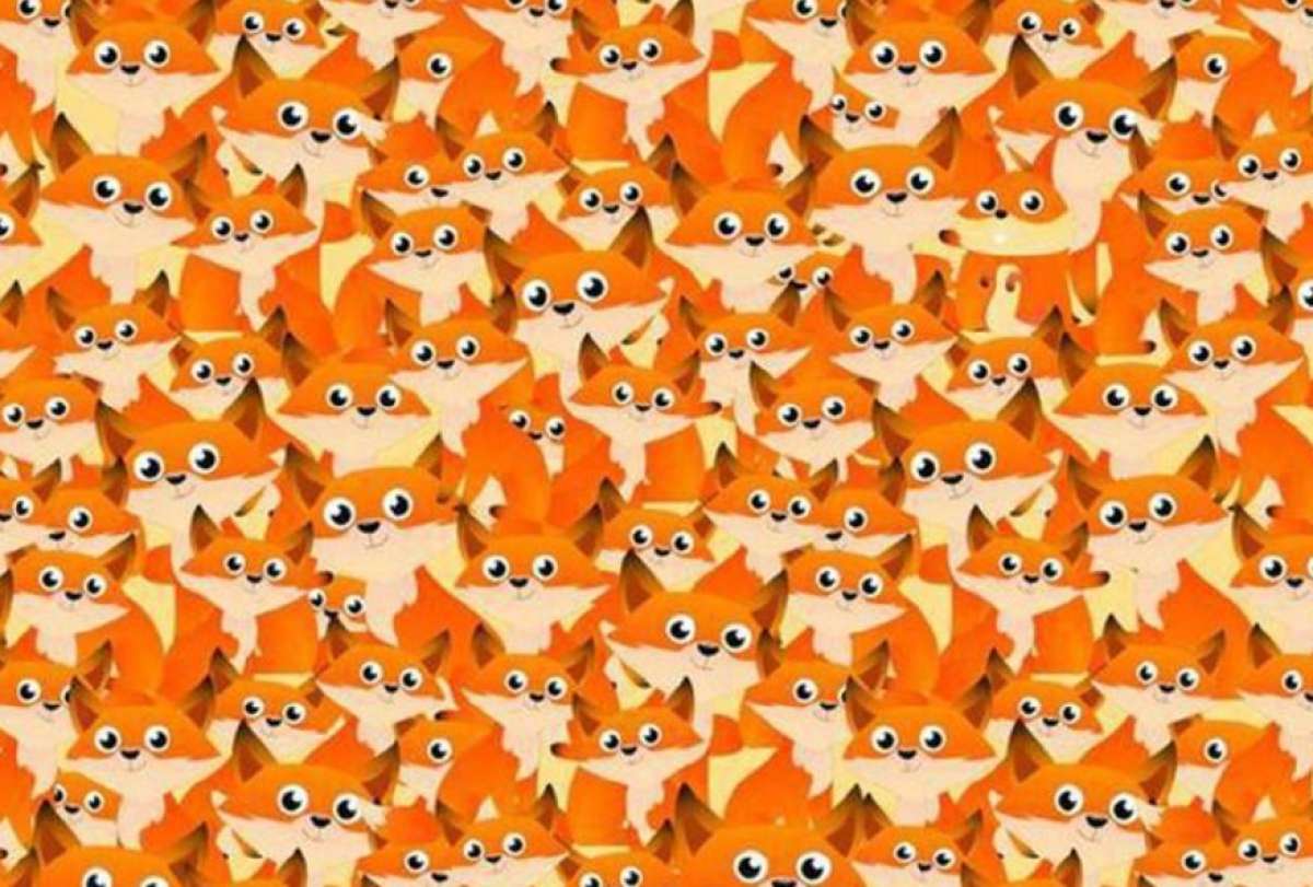 Reto: Encuentra al animal oculto