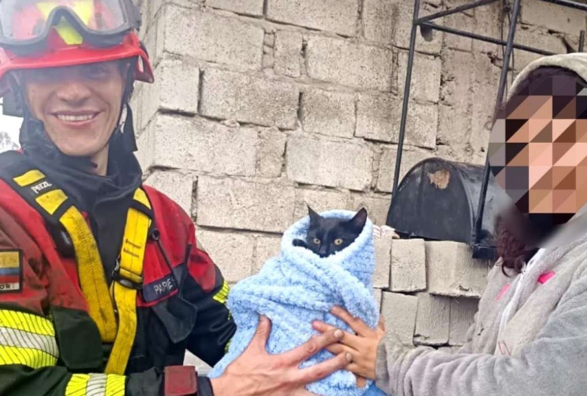 Un &ldquo;michi&rdquo; en apuros: Bomberos de Quito realizan rescate