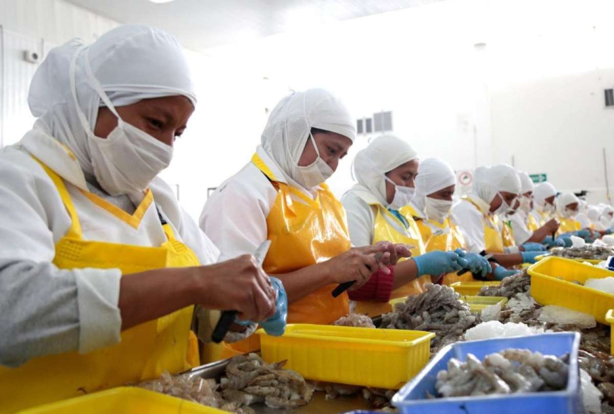 Gremios empresariales alertan que decisi&oacute;n de la Corte Constitucional frena inversi&oacute;n en energ&iacute;a