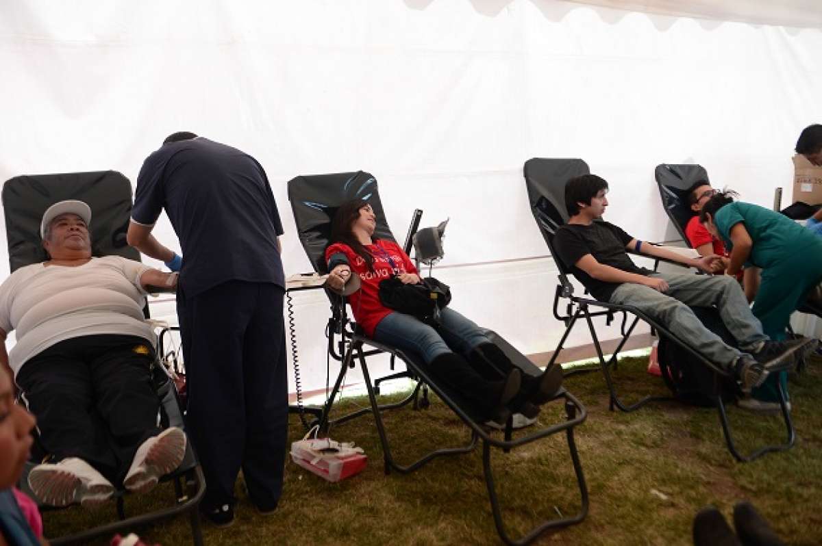 Varios voluntarios se acercaron al parque La Carolina de Quito para donar sangre como parte del D&iacute;a Mundial del donante. Foto: Carina Acosta/ EL TEL&Eacute;GRAFO.