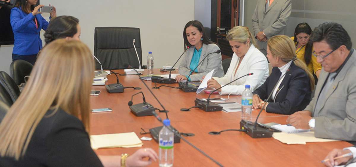 Las comisiones eligieron a sus autoridades. Las 12 presidencias est&aacute;n a cargo de legisladores de Alianza PAIS.