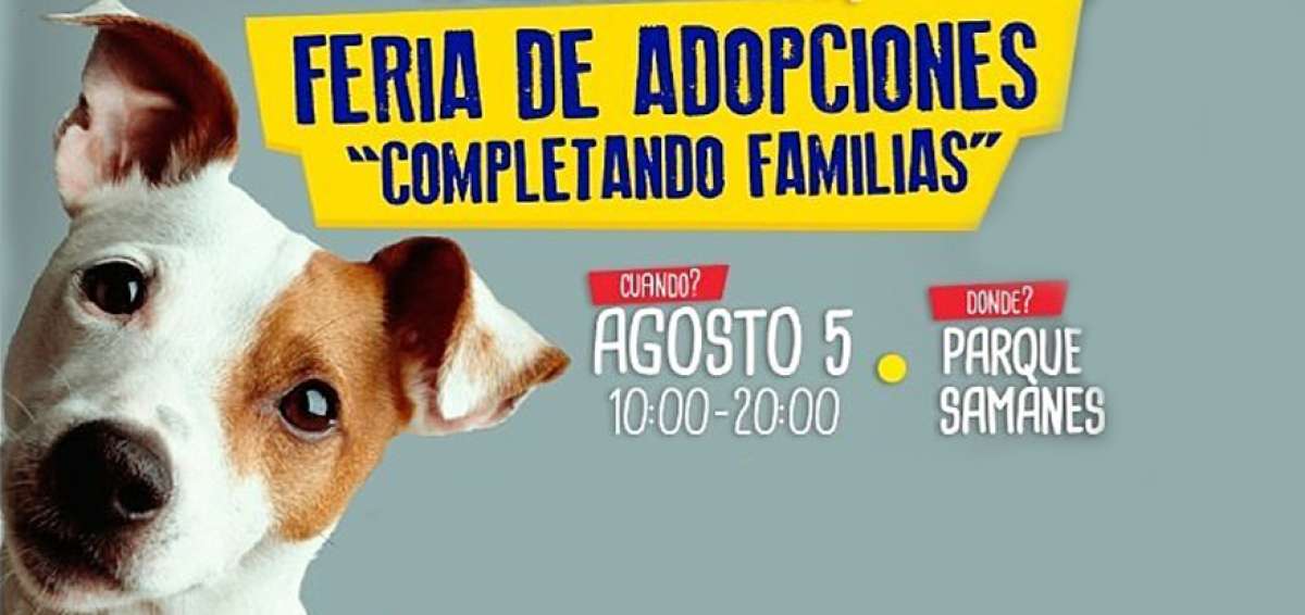 Fundaci&oacute;n animalista realizar&aacute; jornada de adopci&oacute;n de mascotas