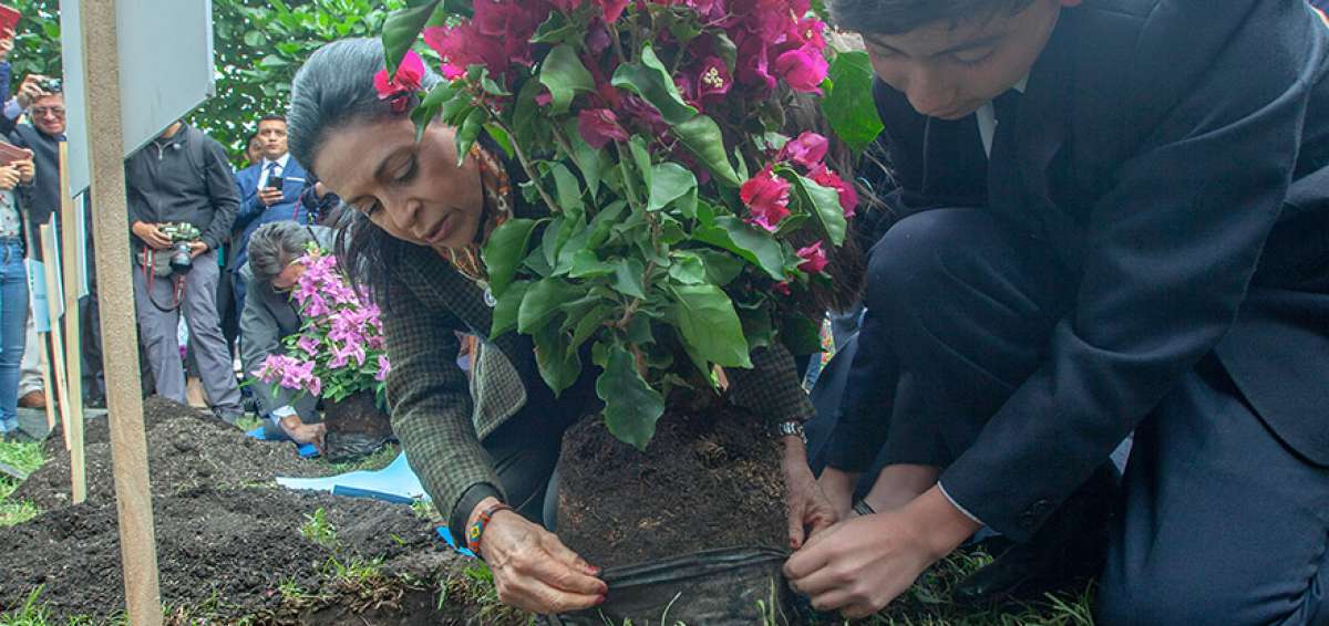 Los TiNi ayudan a formar ciudadanos afectivos, emprendedores y responsables con el medioambiente. Los estudiantes cultivan plantas medicinales.