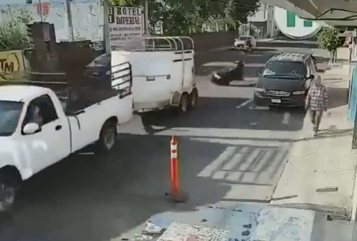 El animal recorri&oacute; varias calles antes de ser controlado.