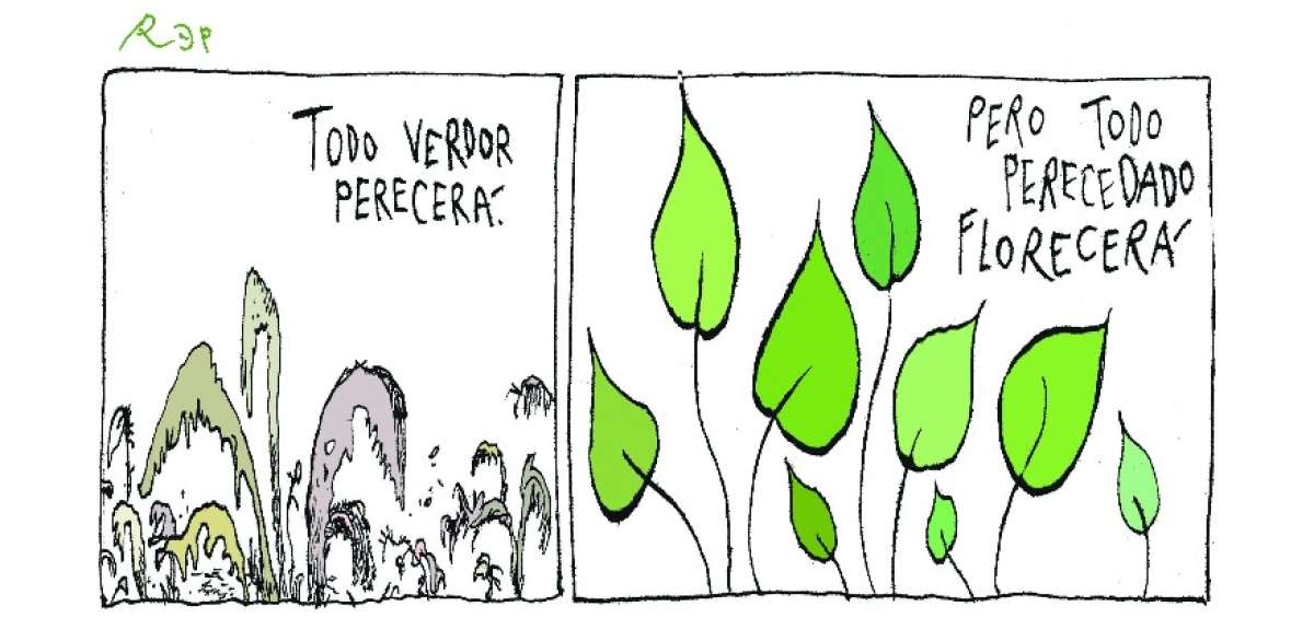 La caricatura del d&iacute;a