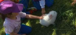 En la granja Pumamaki, los ni&ntilde;os aprenden del cuidado de animales de granja