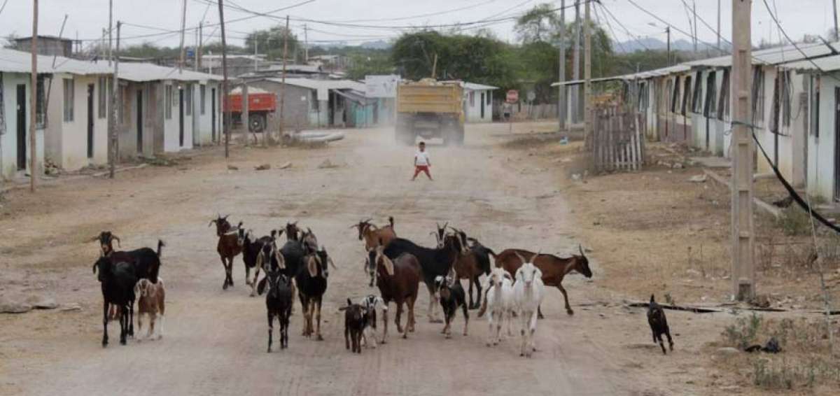 Los animales dom&eacute;sticos, los ni&ntilde;os y los pocos veh&iacute;culos comparten el espacio p&uacute;blico en la isla.