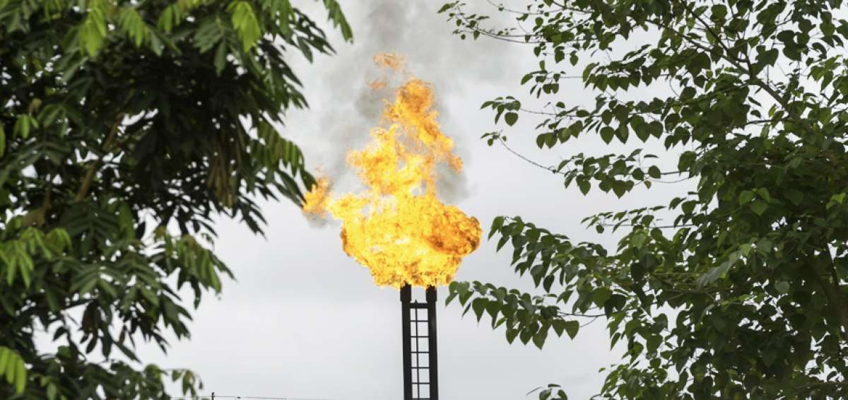 Petroamazonas EP produce alrededor de 425.000 barriles equivalentes de petr&oacute;leo por d&iacute;a, con un costo total promedio de $ 17,89 por barril.
