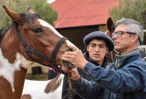 En Ecuador se detectó un caso de encefalomielitis equina del Este, en Guayas.