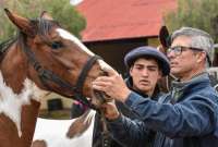 En Ecuador se detectó un caso de encefalomielitis equina del Este, en Guayas.