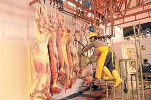Una de las obras realizadas es la ampliaci&oacute;n de la c&aacute;mara fr&iacute;a, con capacidad para 50 animales. Aqu&iacute; es depositada la carne antes de su transportaci&oacute;n. Foto: Roberto Ch&aacute;vez / El Tel&eacute;grafo