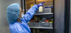El 54% de los beb&eacute;s se alimenta en la primera hora