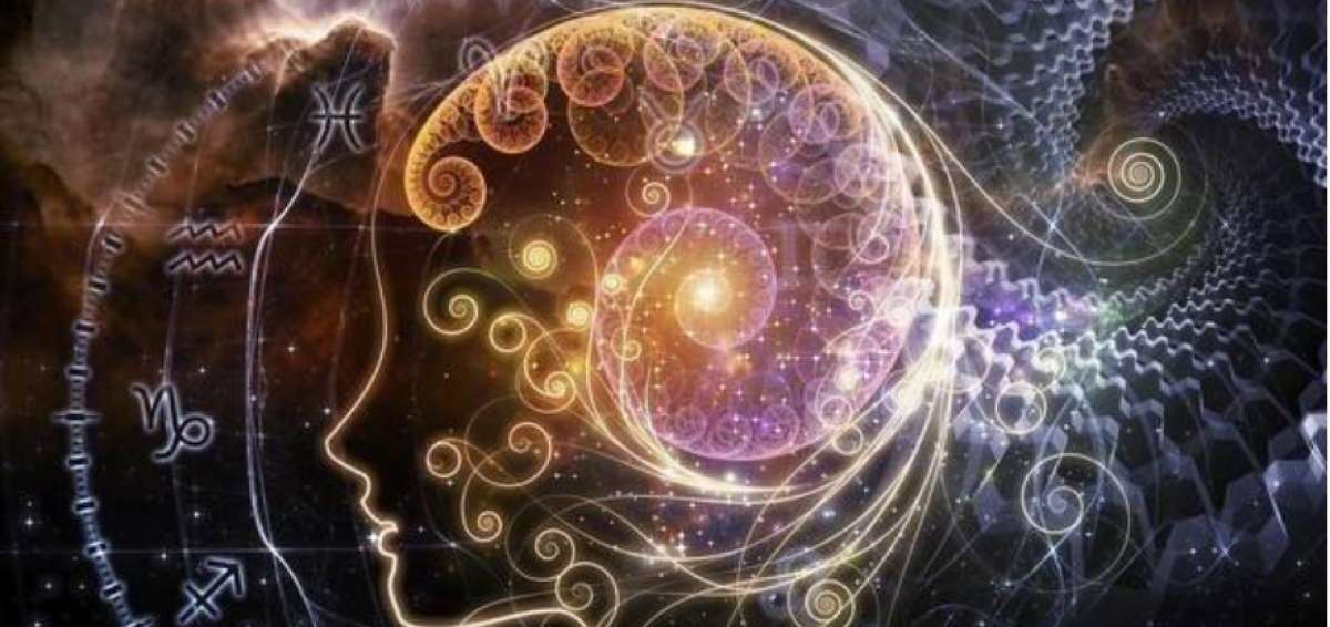 Los defectos de cada signo