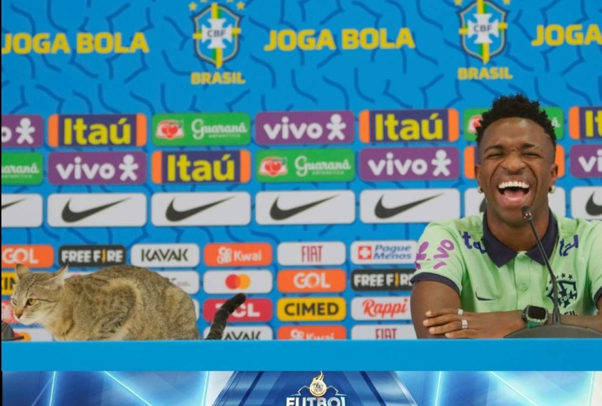 Un gato se coló en la charla con la prensa del delantero Vinicius Jr.