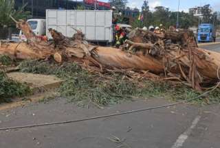 La vía Interoceánica está parcialmente cerrada por la caída de un árbol. 