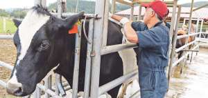 La Facultad de Ciencias Agropecuarias de la Universidad de Cuenca cuenta con una granja para que los alumnos de esta especialidad practiquen en ella.