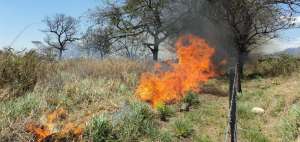 Fuego arrasa 2.000 hect&aacute;reas en el Austro