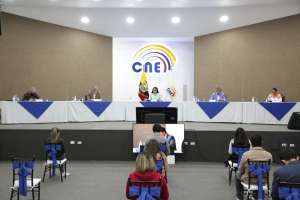El Pleno del CNE calific&oacute; al binomio UNES