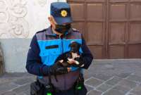 Rescatan a cachorrita abandonado en el Centro Histórico de Quito
