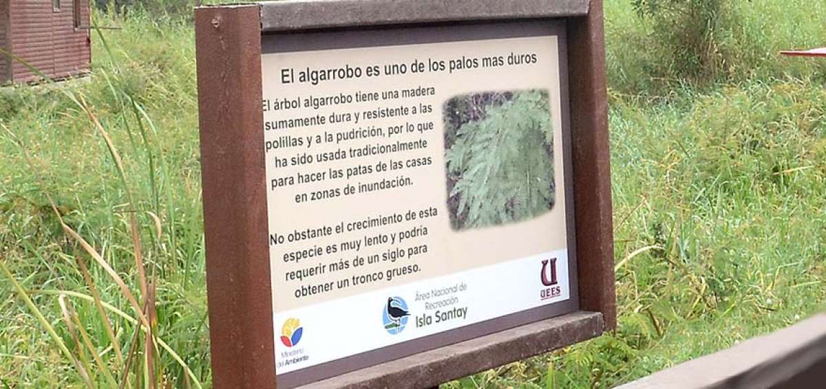 Estudiantes implementan mejoras en isla Santay