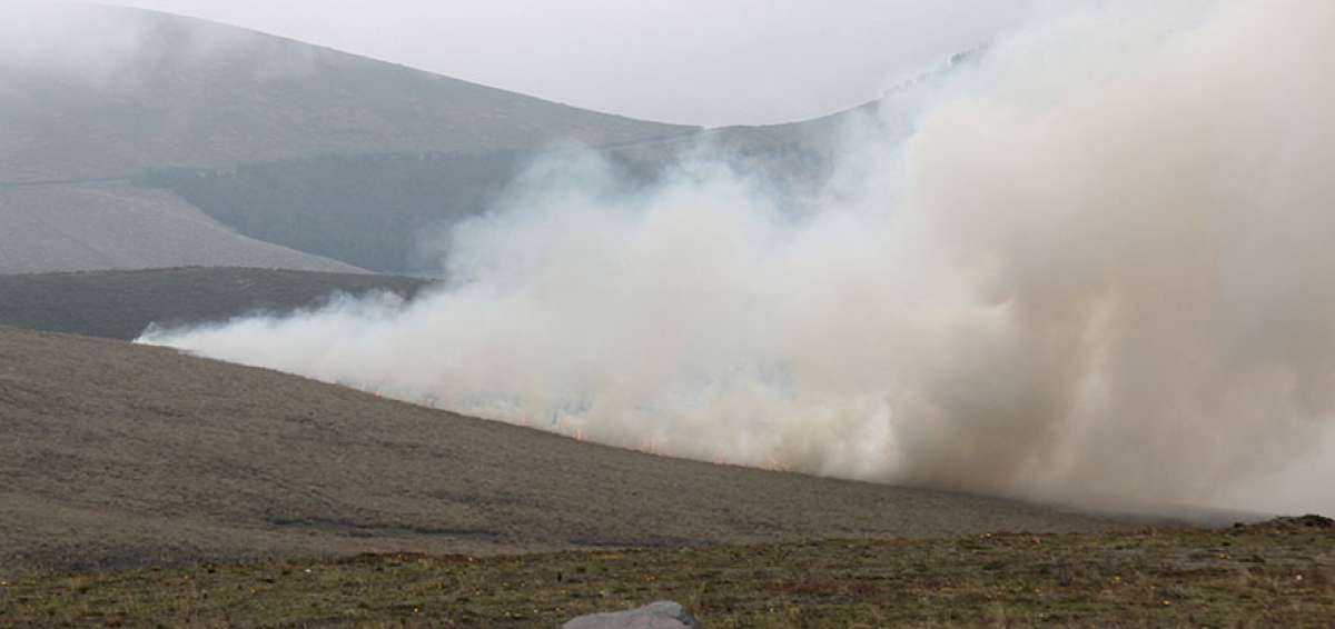 M&aacute;s de dos horas les tom&oacute; a los guardaparques de la Reserva Los Illinizas y a los Bomberos de Lasso sofocar el voraz flagelo, a m&aacute;s de 3.000 metros.