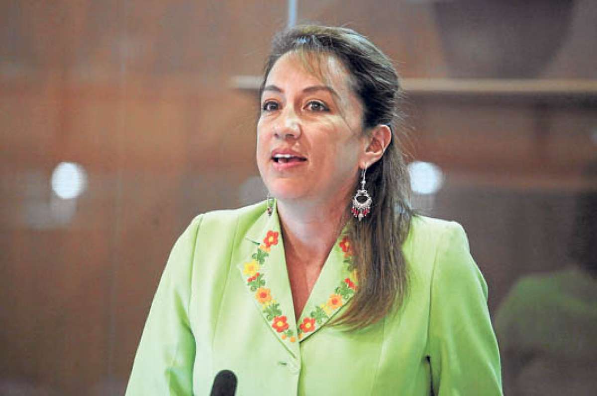 La legisladora Soledad Buend&iacute;a solicit&oacute; una reuni&oacute;n urgente para debatir la propuesta.