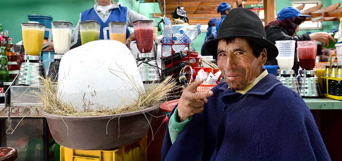 Adem&aacute;s de proveer de hielo del nevado Chimborazo a mercados de Riobamba, Baltazar es ahora el s&iacute;mbolo de la campa&ntilde;a de alfabetizaci&oacute;n &lsquo;Todos ABC&rsquo;.