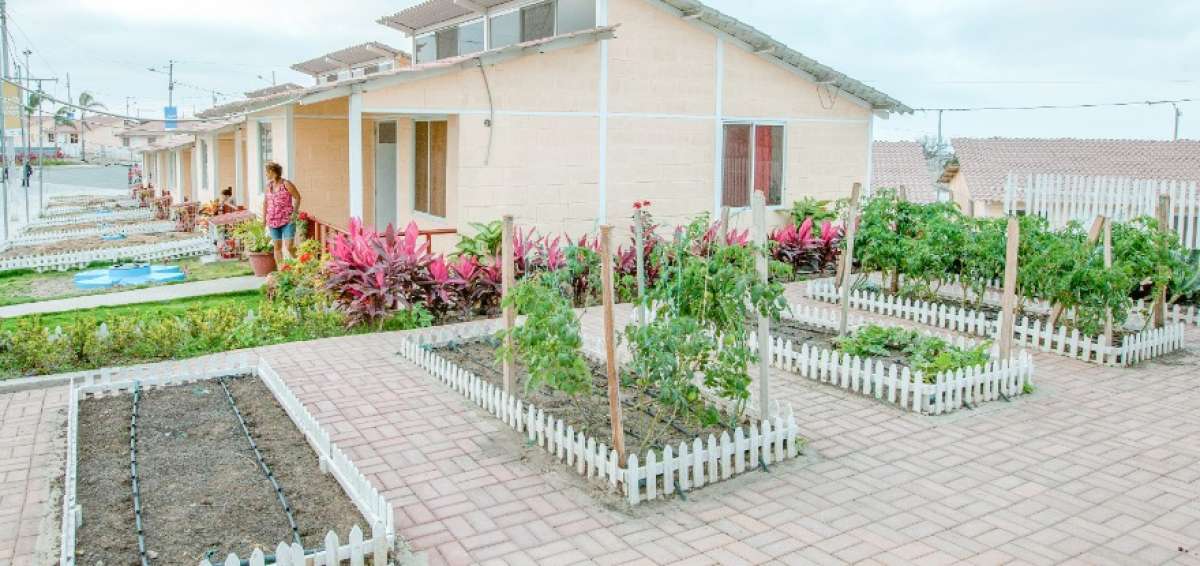 Huertos de Casa Para Todos aportan alimentos en la emergencia sanitaria