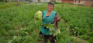El agro recibir&aacute; insumos y maquinaria a bajo costo