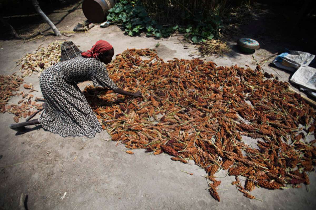 Otro componente de la lucha contra el hambre, seg&uacute;n la FAO, es la protecci&oacute;n social en cr&eacute;ditos, para que los agricultores m&aacute;s pobres mejoren la producci&oacute;n. AFP