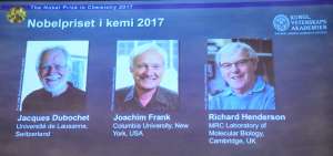 El Nobel de Qu&iacute;mica premia la criomicroscop&iacute;a electr&oacute;nica