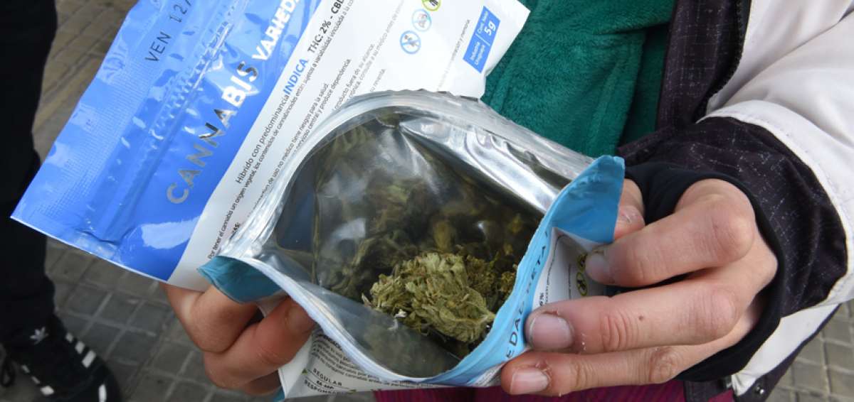El inter&eacute;s por marihuana legal crece en Uruguay