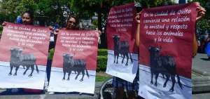 Activistas realizaron varias concentraciones al frente del Municipio para exigir que se analice la propuesta.