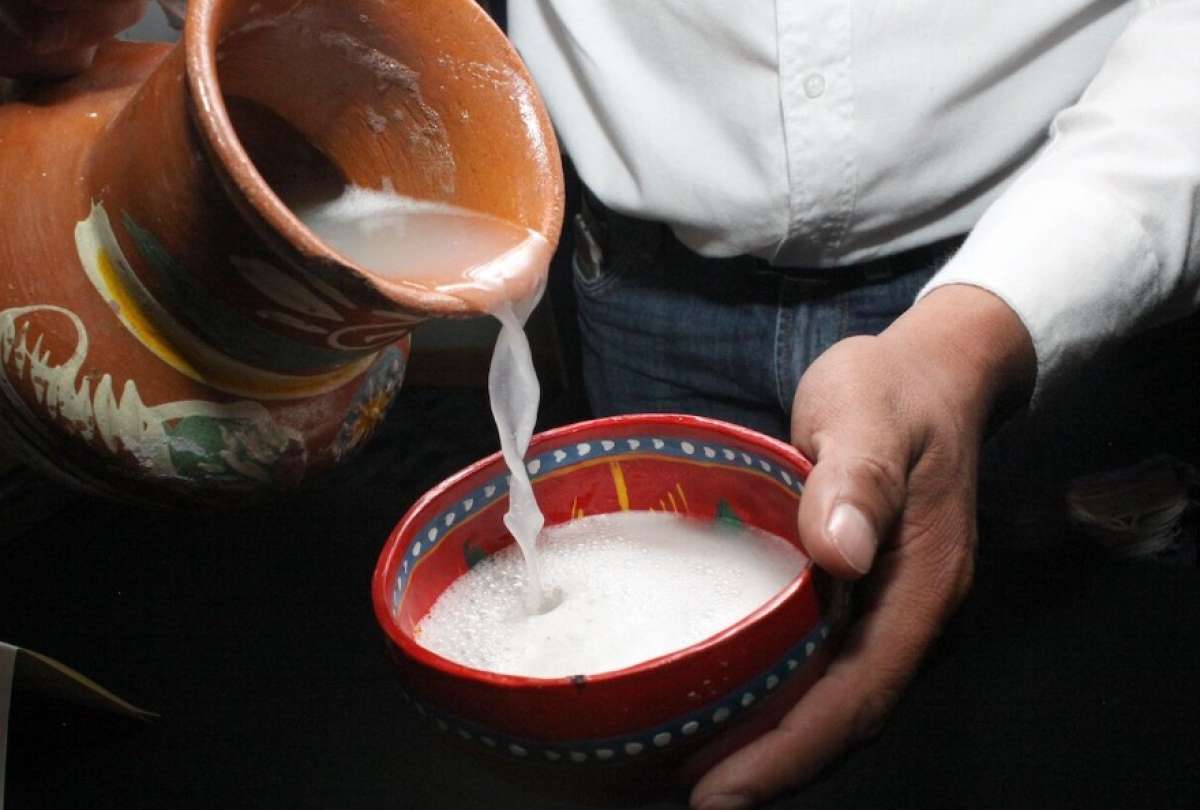 Quito ser&aacute; sede de ASWA VIVE, el primer encuentro nacional de chicha