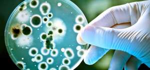 V&iacute;nculos entre bacterias y depresi&oacute;n