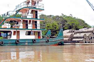 Seg&uacute;n los grupos ecologistas, es excesiva la explotaci&oacute;n maderera de la zona fronteriza norte de Per&uacute;. Foto tomada de: www.panoramio.com