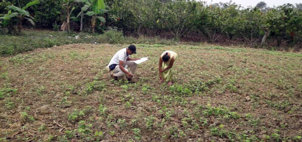 Pa&iacute;ses Bajos muestran inter&eacute;s en desarrollo agr&iacute;cola del pa&iacute;s