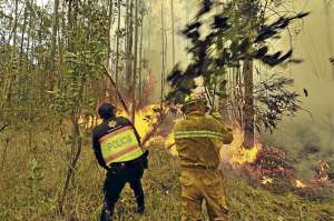 La &eacute;poca seca deja 290 incendios